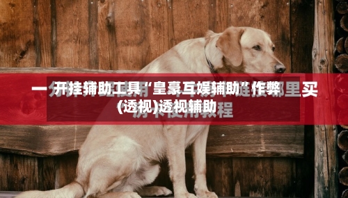 开挂辅助工具“皇豪互娱辅助”作弊(透视)透视辅助-第1张图片