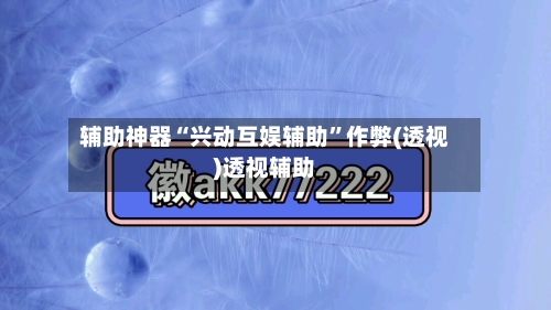 辅助神器“兴动互娱辅助	”作弊(透视)透视辅助-第2张图片