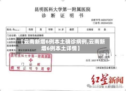 【云南新增6例本土确诊病例,云南新增6例本土详情】-第2张图片