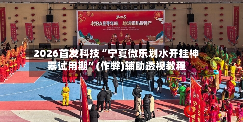 2026首发科技“宁夏微乐划水开挂神器试用期”(作弊)辅助透视教程-第1张图片