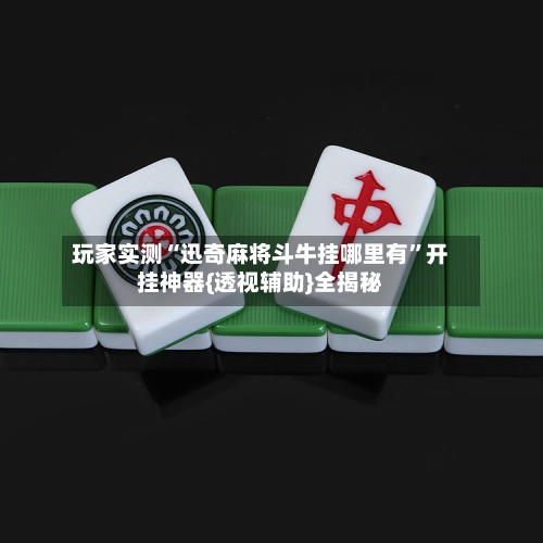 玩家实测“迅奇麻将斗牛挂哪里有	”开挂神器{透视辅助}全揭秘-第2张图片