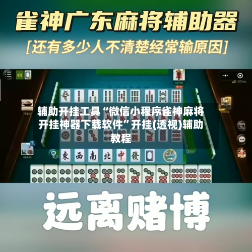 辅助开挂工具“微信小程序雀神麻将开挂神器下载软件”开挂(透视)辅助教程-第3张图片