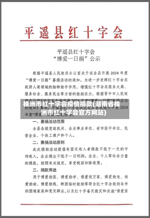 株洲市红十字会疫情捐款(湖南省株洲市红十字会官方网站)-第1张图片