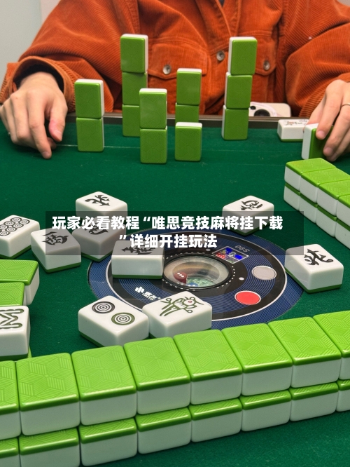 玩家必看教程“唯思竞技麻将挂下载”详细开挂玩法-第2张图片