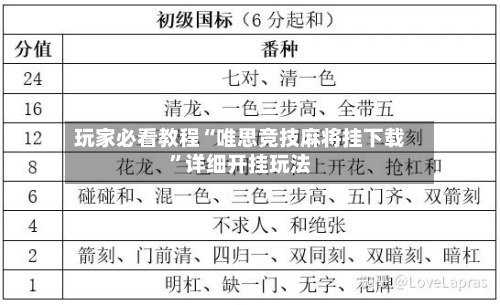 玩家必看教程“唯思竞技麻将挂下载”详细开挂玩法-第3张图片