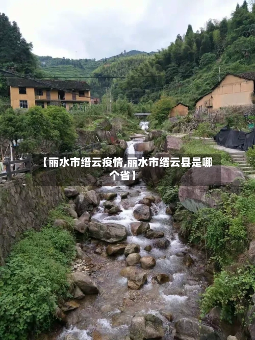 【丽水市缙云疫情,丽水市缙云县是哪个省】-第2张图片