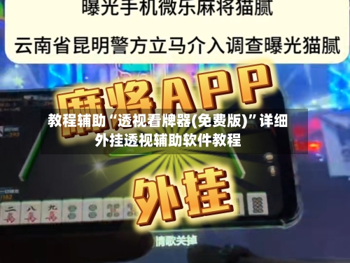 教程辅助“透视看牌器(免费版)”详细外挂透视辅助软件教程-第3张图片