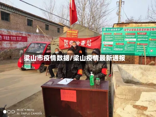 梁山市疫情数据/梁山疫情最新通报-第3张图片