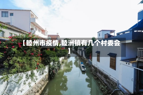 【睦州市疫情,睦洲镇有几个村委会】-第1张图片