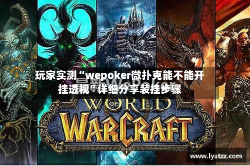 玩家实测“wepoker微扑克能不能开挂透视”详细分享装挂步骤-第1张图片