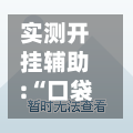 实测开挂辅助:“口袋十三水有挂吗”详细分享装挂步骤!-第1张图片