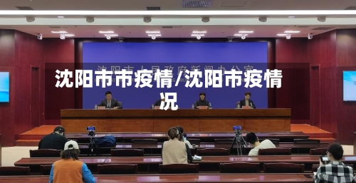 沈阳市市疫情/沈阳市疫情况-第2张图片