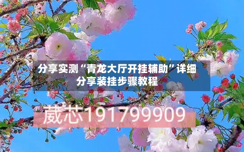 分享实测“青龙大厅开挂辅助”详细分享装挂步骤教程-第1张图片