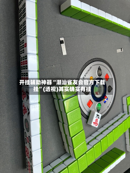 开挂辅助神器“潮汕雀友会官方下载挂”(透视)其实确实有挂-第2张图片