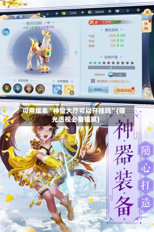 可用版本“神皇大厅可以开挂吗”(曝光透视必备猫腻)-第2张图片