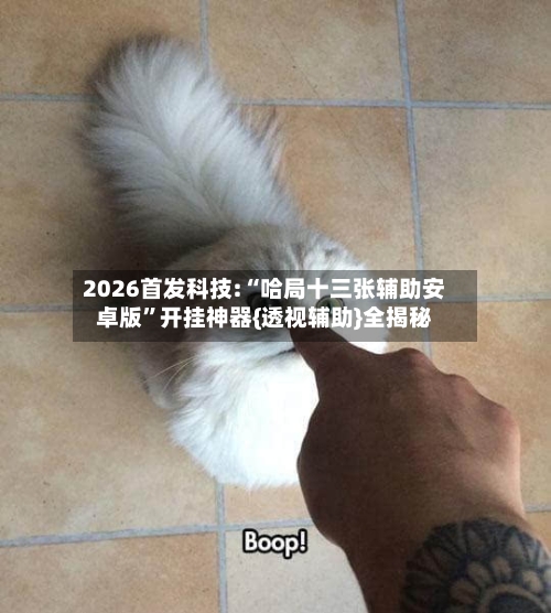 2026首发科技:“哈局十三张辅助安卓版”开挂神器{透视辅助}全揭秘-第1张图片