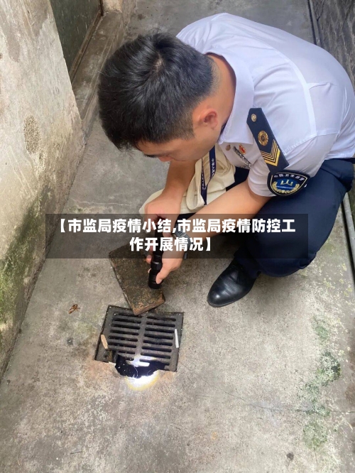 【市监局疫情小结,市监局疫情防控工作开展情况】-第1张图片