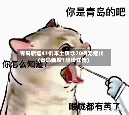 青岛新增41例本土确诊70例无症状(青岛新增1确诊详情)-第2张图片
