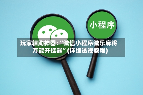 玩家辅助神器:“微信小程序微乐麻将万能开挂器”(详细透视教程)-第2张图片