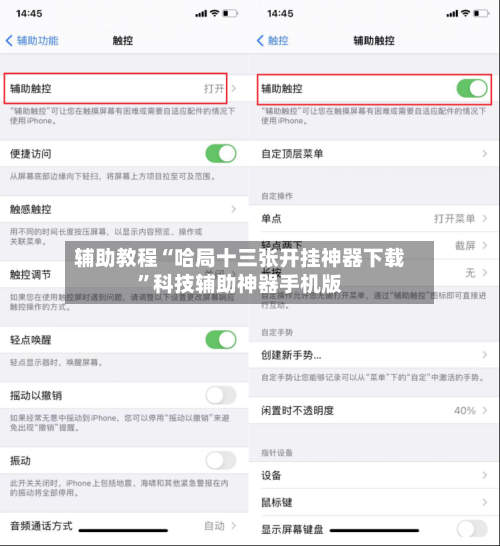 辅助教程“哈局十三张开挂神器下载”科技辅助神器手机版-第3张图片