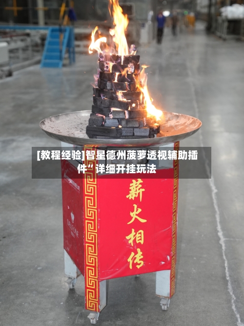 [教程经验]智星德州菠萝透视辅助插件”详细开挂玩法-第2张图片