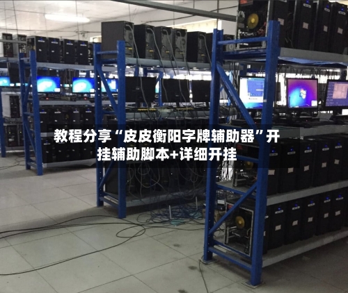 教程分享“皮皮衡阳字牌辅助器”开挂辅助脚本+详细开挂-第1张图片