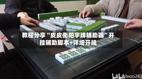 教程分享“皮皮衡阳字牌辅助器”开挂辅助脚本+详细开挂-第3张图片