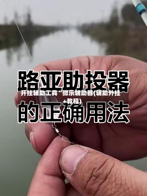 开挂辅助工具“微乐辅助器(辅助外挂+教程)-第1张图片