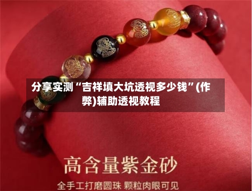 分享实测“吉祥填大坑透视多少钱”(作弊)辅助透视教程-第2张图片