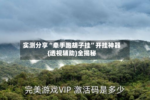 实测分享“牵手跑胡子挂”开挂神器{透视辅助}全揭秘-第3张图片
