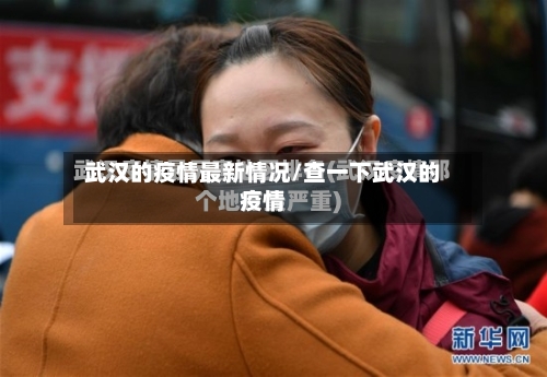 武汉的疫情最新情况/查一下武汉的疫情-第1张图片
