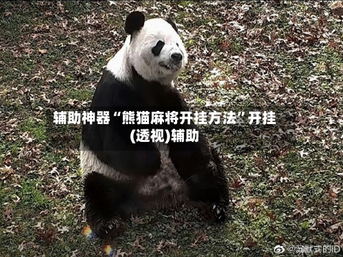 辅助神器“熊猫麻将开挂方法	”开挂(透视)辅助-第2张图片