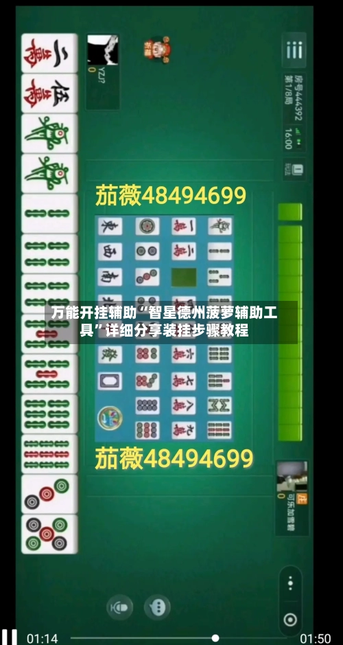 万能开挂辅助“智星德州菠萝辅助工具”详细分享装挂步骤教程-第3张图片
