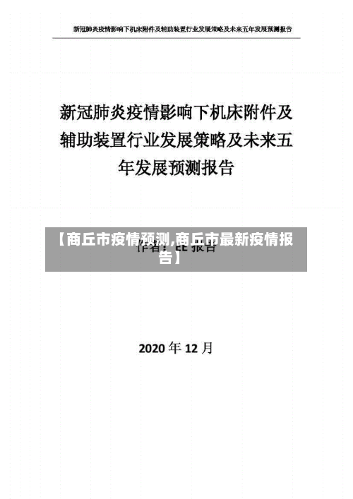 【商丘市疫情预测,商丘市最新疫情报告】-第2张图片