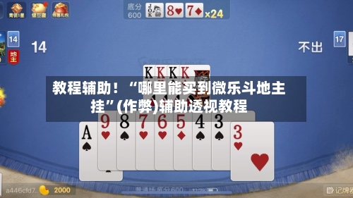 教程辅助！“哪里能买到微乐斗地主挂”(作弊)辅助透视教程-第3张图片