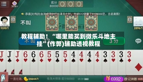 教程辅助！“哪里能买到微乐斗地主挂	”(作弊)辅助透视教程-第2张图片