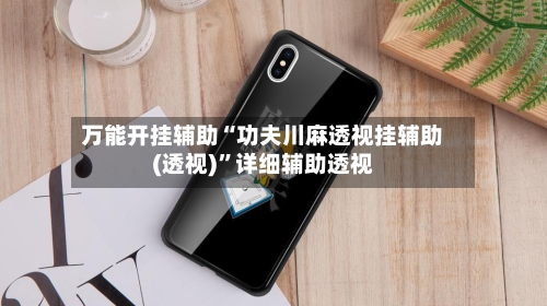 万能开挂辅助“功夫川麻透视挂辅助(透视)”详细辅助透视-第2张图片