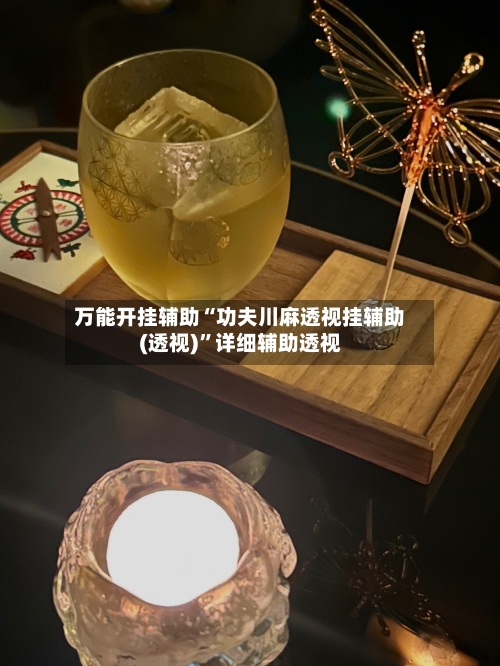 万能开挂辅助“功夫川麻透视挂辅助(透视)	”详细辅助透视-第1张图片