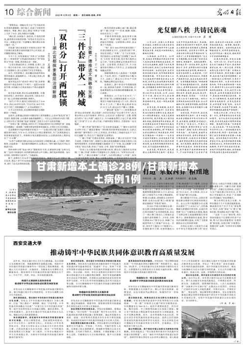 甘肃新增本土确诊28例/甘肃新增本土病例1例-第3张图片