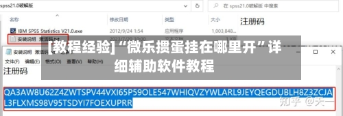 [教程经验]“微乐掼蛋挂在哪里开”详细辅助软件教程-第1张图片