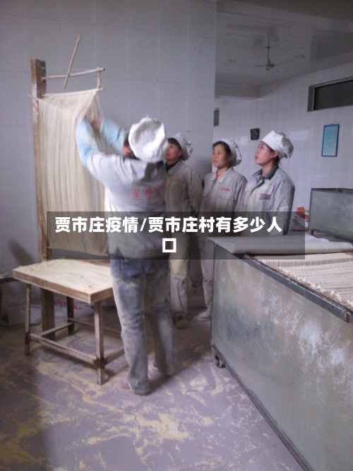 贾市庄疫情/贾市庄村有多少人口-第2张图片