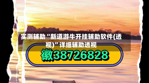 实测辅助“新道游牛开挂辅助软件(透视)	”详细辅助透视-第1张图片