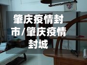 肇庆疫情封市/肇庆疫情封城-第1张图片
