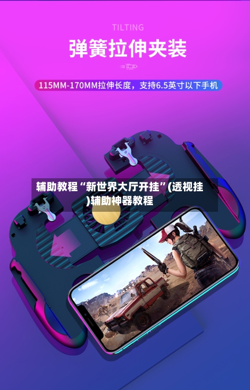 辅助教程“新世界大厅开挂”(透视挂)辅助神器教程-第2张图片