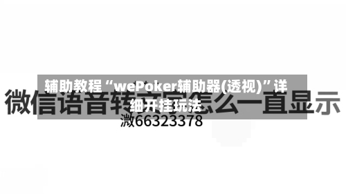 辅助教程“wePoker辅助器(透视)	”详细开挂玩法-第1张图片