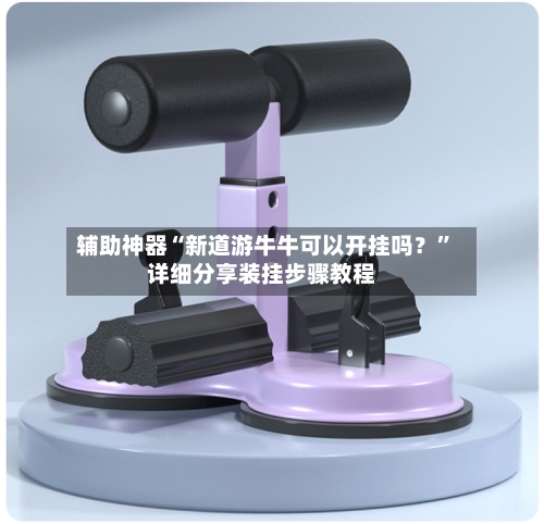 辅助神器“新道游牛牛可以开挂吗？”详细分享装挂步骤教程-第1张图片