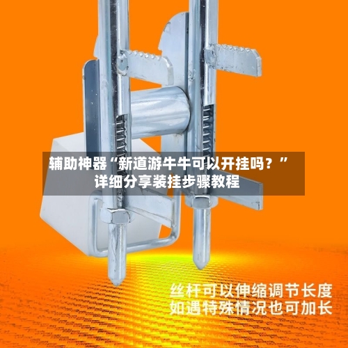 辅助神器“新道游牛牛可以开挂吗？”详细分享装挂步骤教程-第2张图片