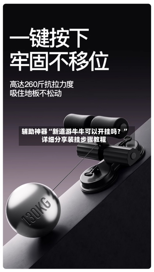 辅助神器“新道游牛牛可以开挂吗？”详细分享装挂步骤教程-第3张图片