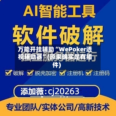 万能开挂辅助“WePoker透视辅助器	”(原来确实是有插件)-第2张图片