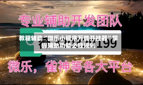 教程辅助“微乐小程序万能开挂器	”掌握辅助功能必胜规则-第2张图片
